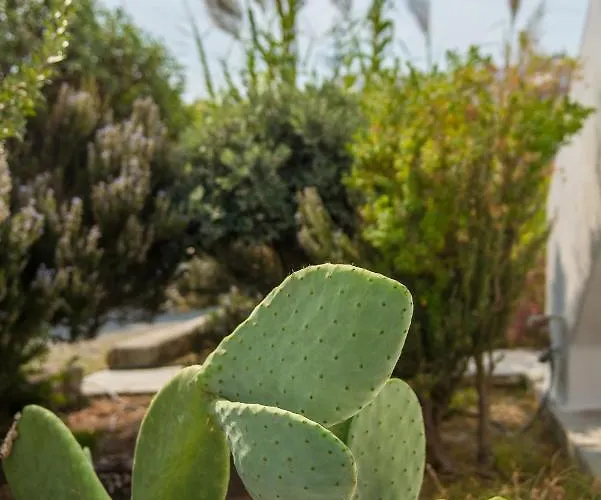 Hotel Vienoula's Garden