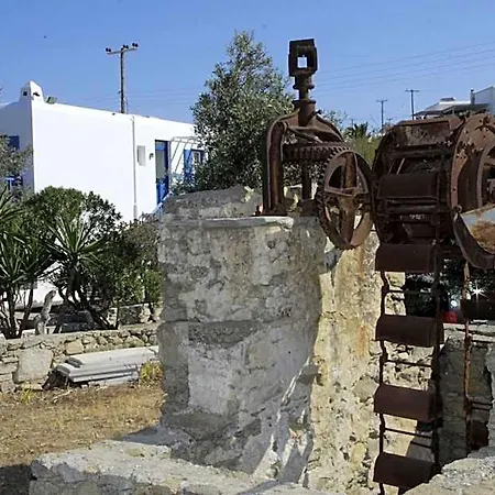 Vienoula's Garden ホテル Mykonos Town