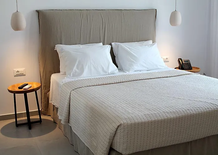 호텔 Vienoula's Garden Mykonos Town