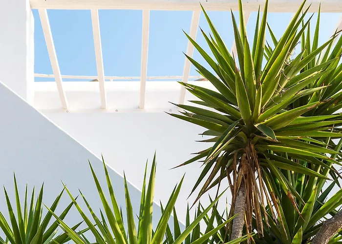 호텔 Vienoula's Garden